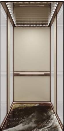 Smooth Lower Noise Passenger Lift Elevator CE Standard