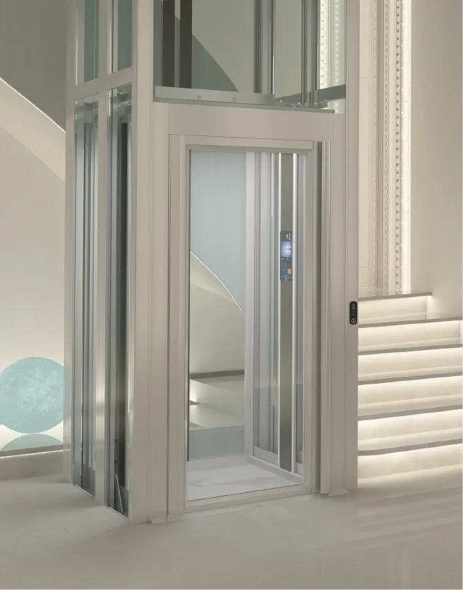 Home Elevator View 2