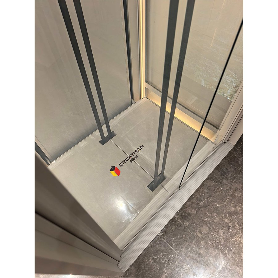 Machine-Room-Less Low-Pit Anti-Pinch Sensor Door Home Vill Elevator