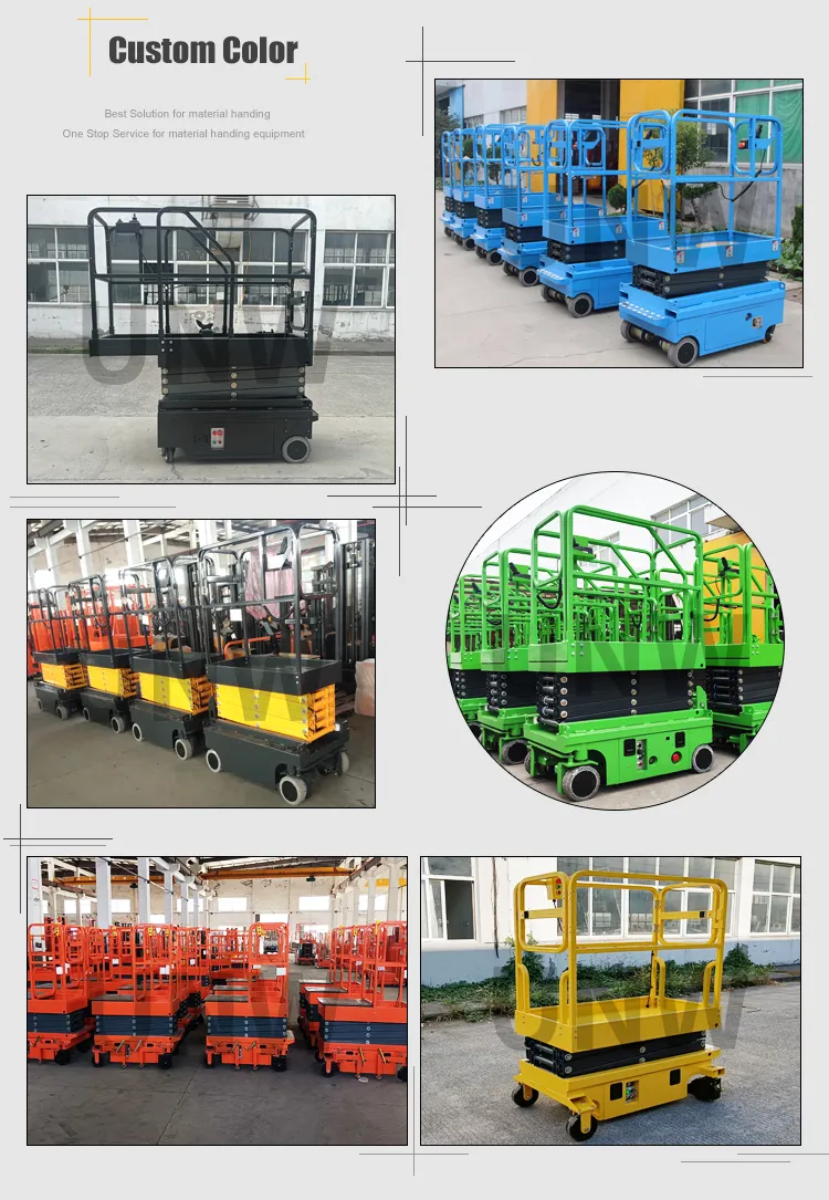 Customized Color Options