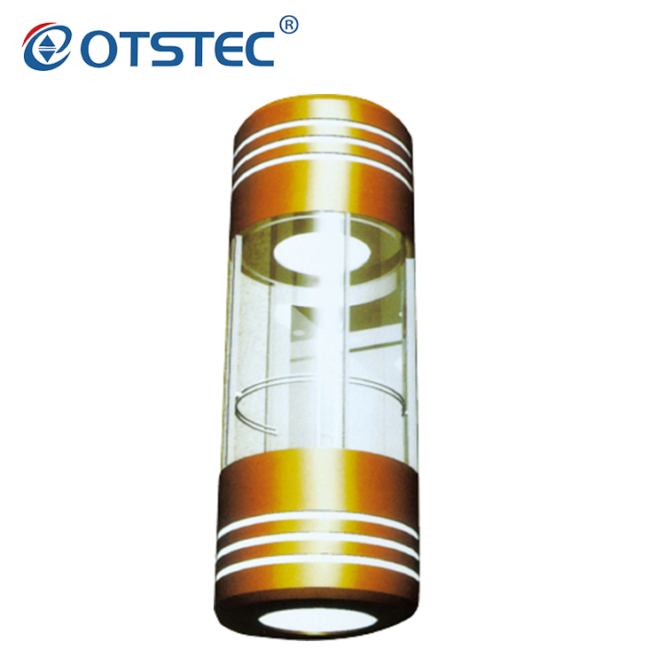 Otstec Delicate Residential Home Lift Glass Villa Panoramic Elevator