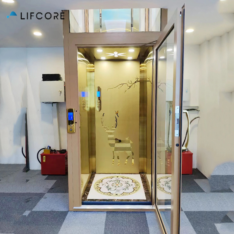 3-4 Person Capacity Small Home Elevator Lift Disabled Handicap People Suitable for Wheelchair Users