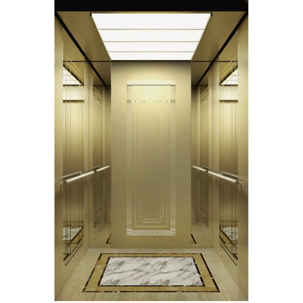 1-2m/S General Home Passenger Lift Elevator