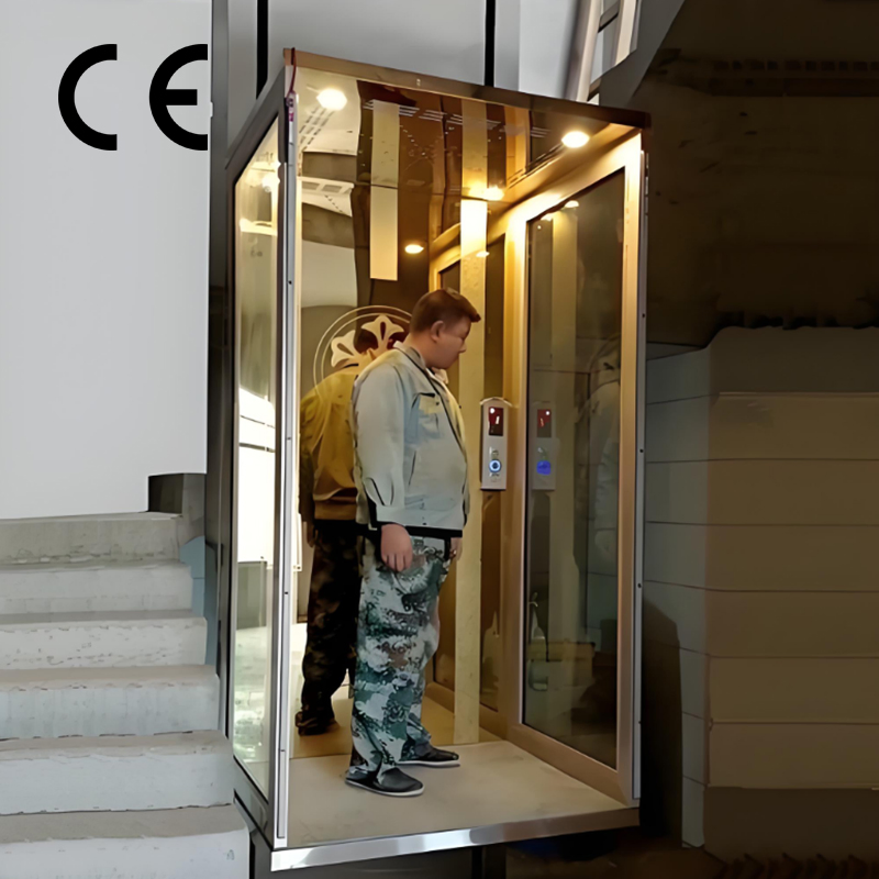 Low Pit Barrier-Free Elevator for Old Building Renovation