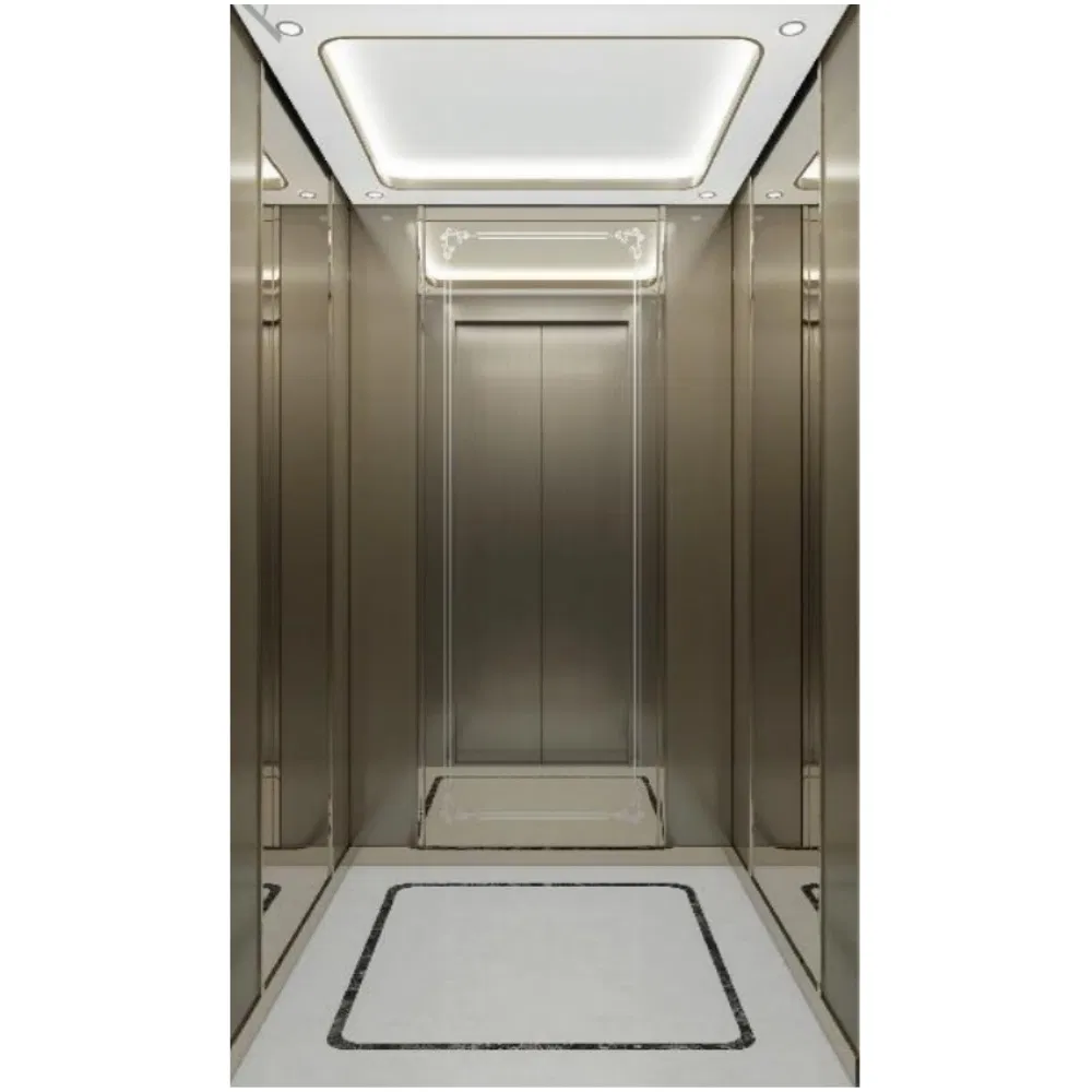 Smooth Lower Noise Passenger Lift Elevator CE Standard