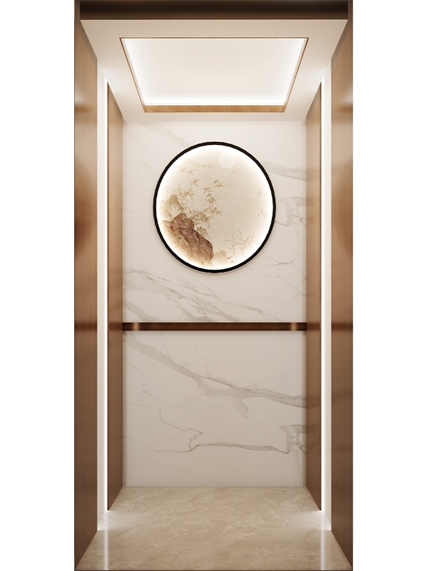 Best Supplier Home Passenger Elevator Lift with High Quality