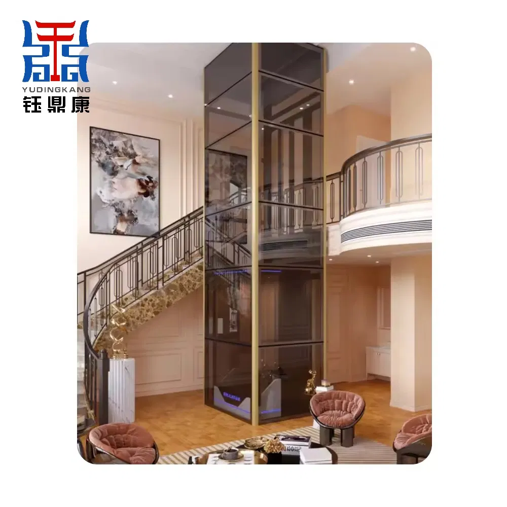 Aesthetic Home Elevator for Modern Architecture with Glass Cabin