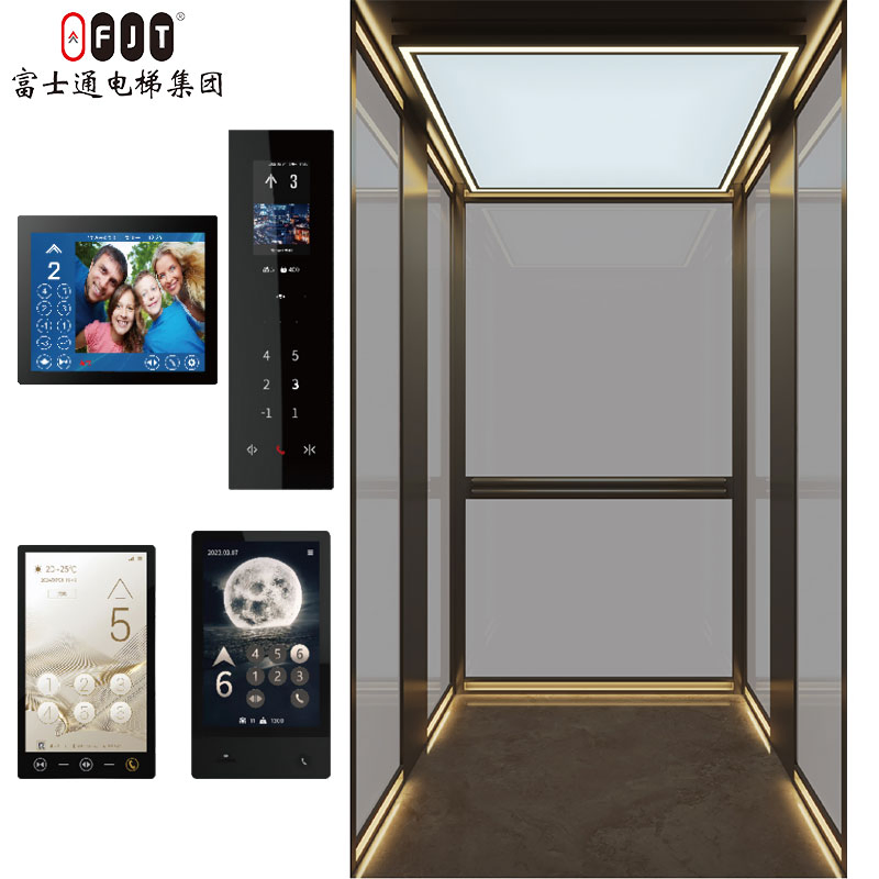 Fujithrough International Certified Home Lift with Small Shaftless Machine Roomless Features Apartment Use