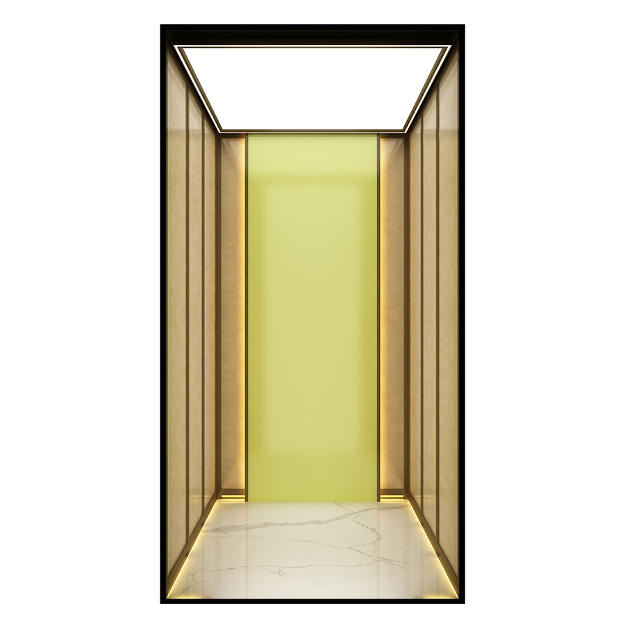 Low-Pit Machine-Room-Less Custom-Designed Car Home Villa Passenger Elevator