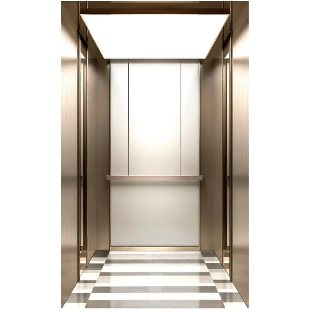 Low Noise Silent Residential Passenger Lift Elevator