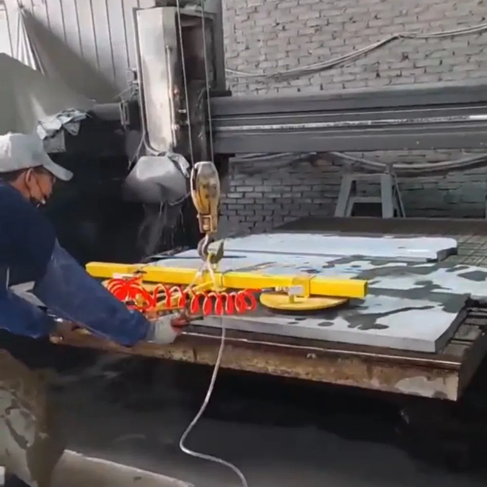 Customizable Pneumatic or Electric Vacuum Stone Loader Elevator