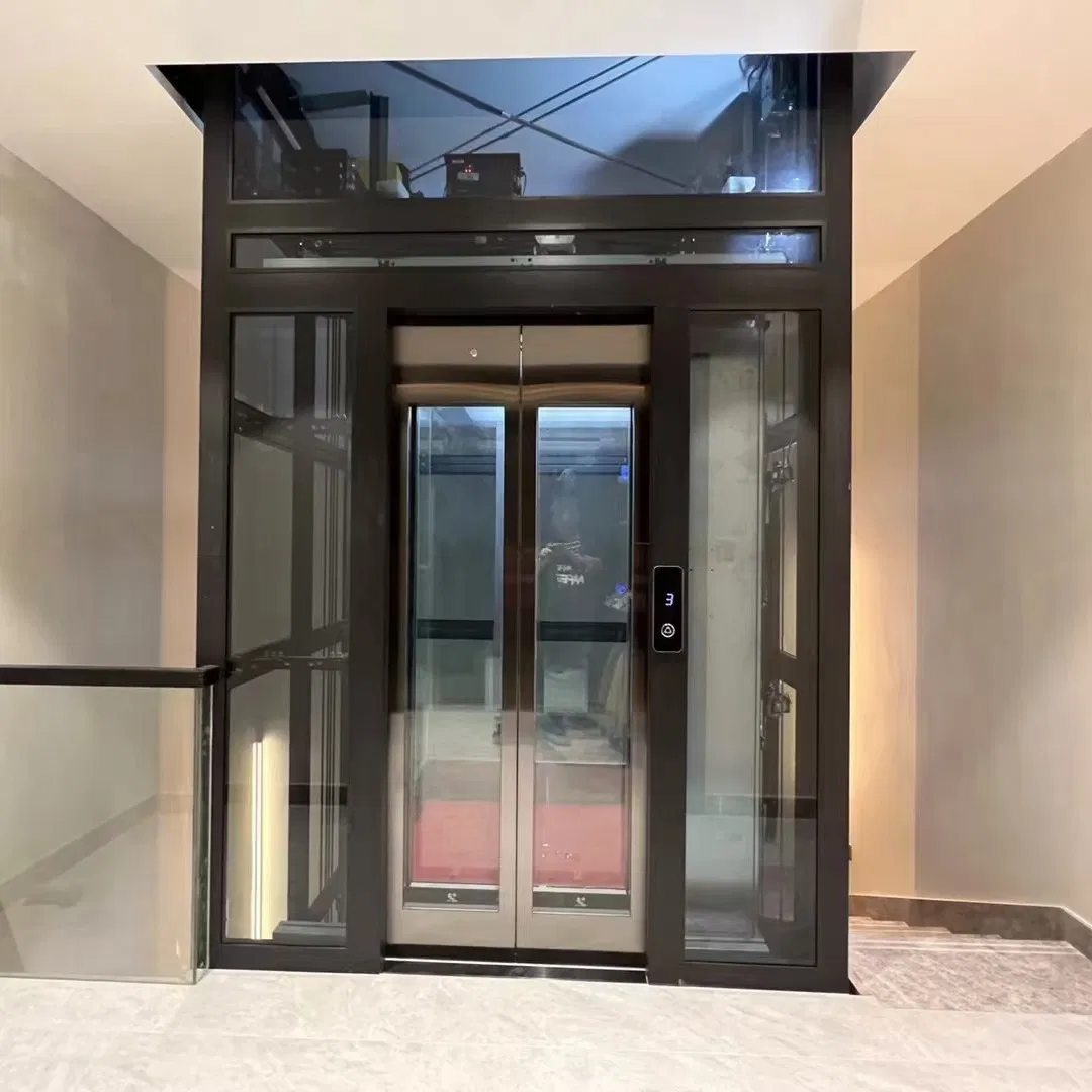 Customized Household Elevator Indoor Outdoor Shaftless Residential Lift with Best Price