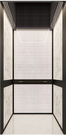 1-2m/S General Home Passenger Lift Elevator