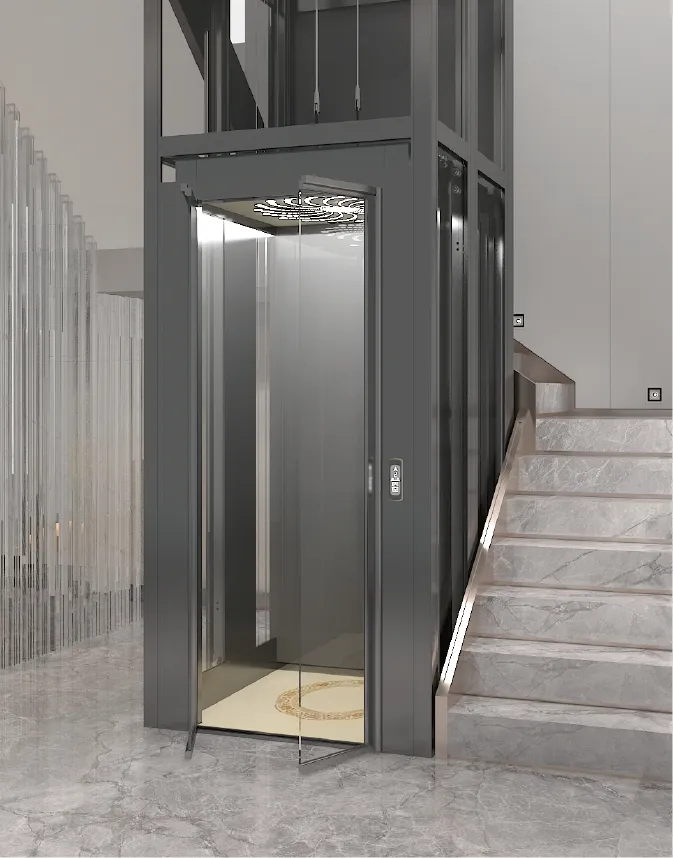 Home Elevator View 1