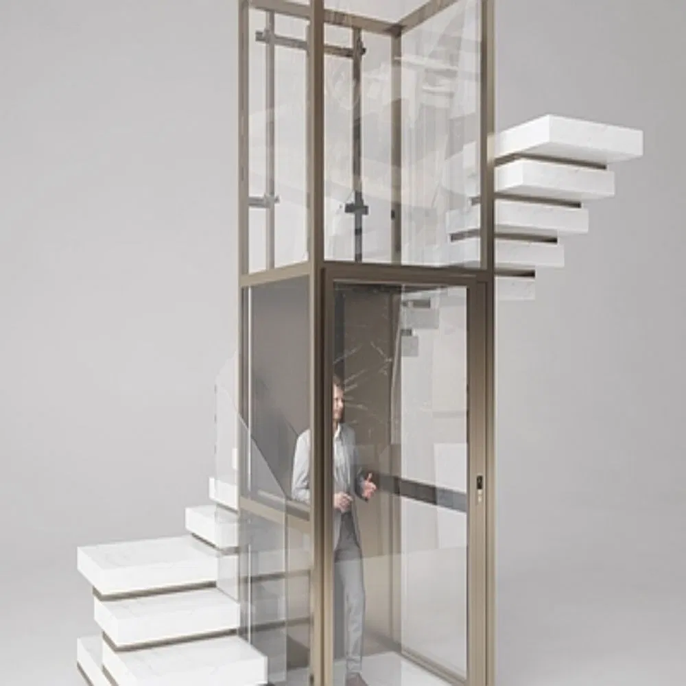 Good Price Home Building Lift Residential High Technology Personal Passenger Elevator Maintenance-Free