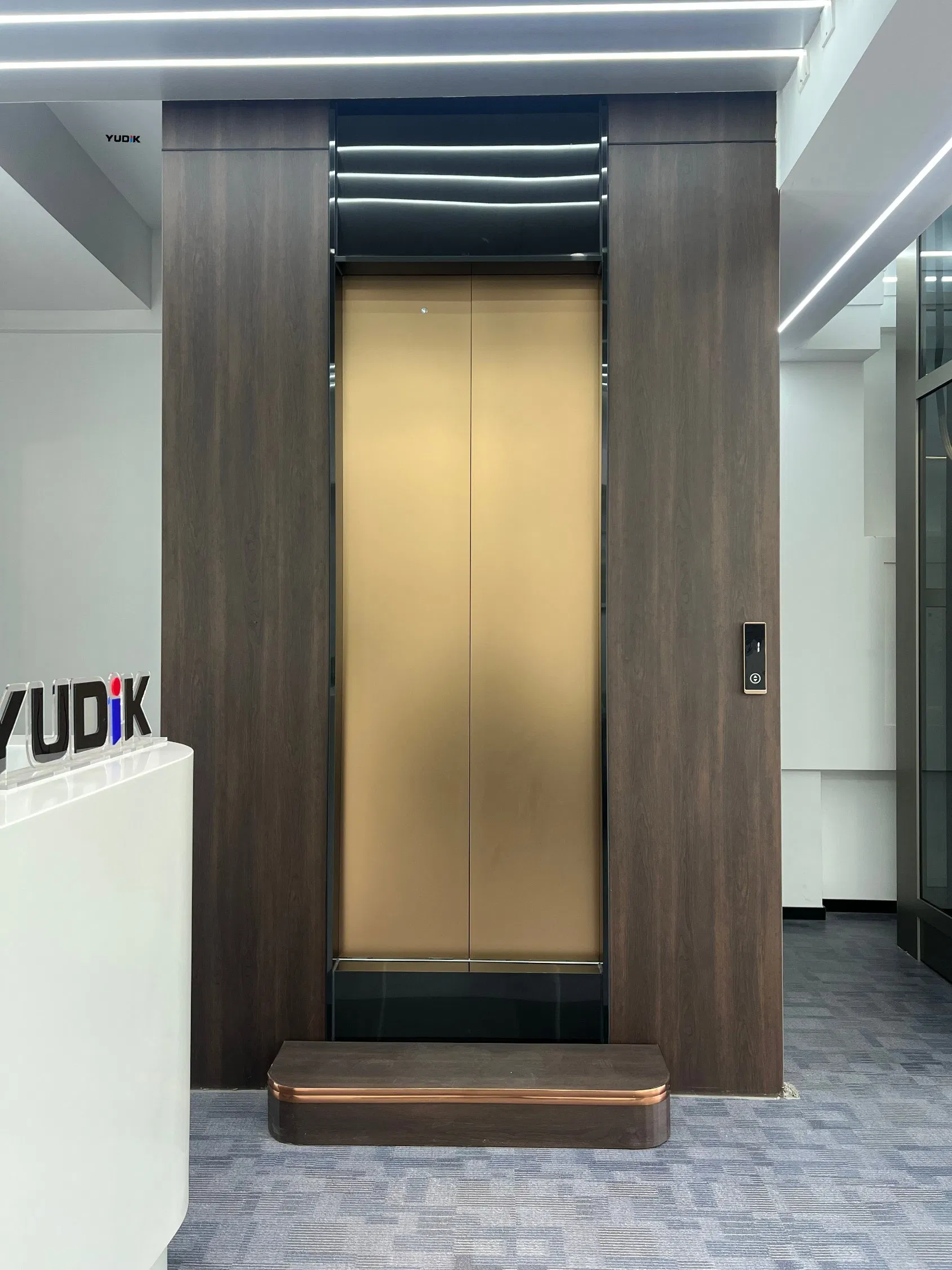 No Pit Hydraulic Elevator with Fast Installation for Villa