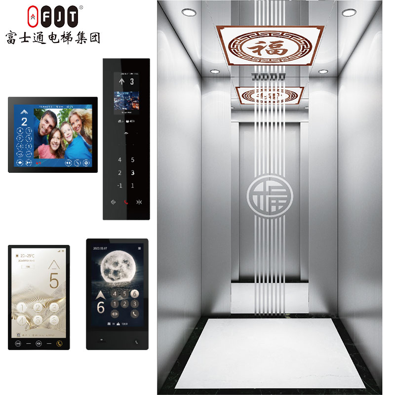 Fujithrough International Certified Home Lift with Small Shaftless Machine Roomless Features Apartment Use