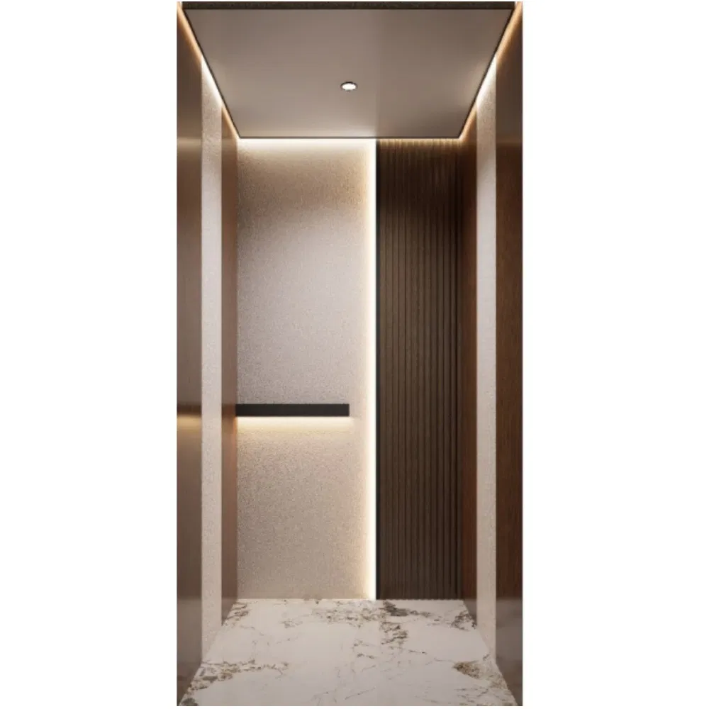Low Noise Silent Residential Passenger Lift Elevator