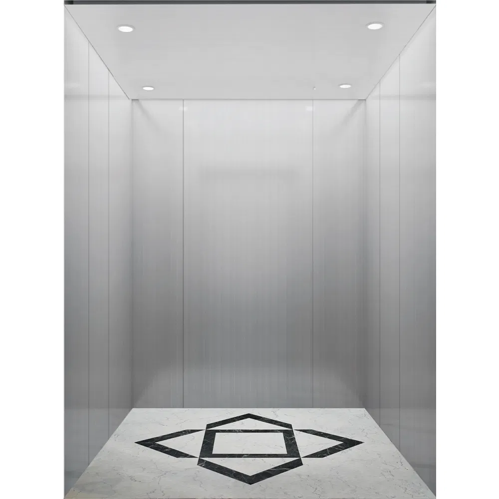 Hyundai Passenger Elevator Price House Customized Residential Lift Elevator