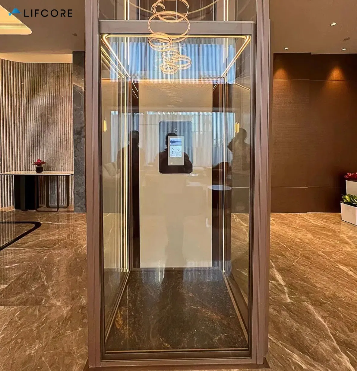 2 Person Residential Elevator Stair Lifts Shaftless Residential Wheelchair Lifts Indoor