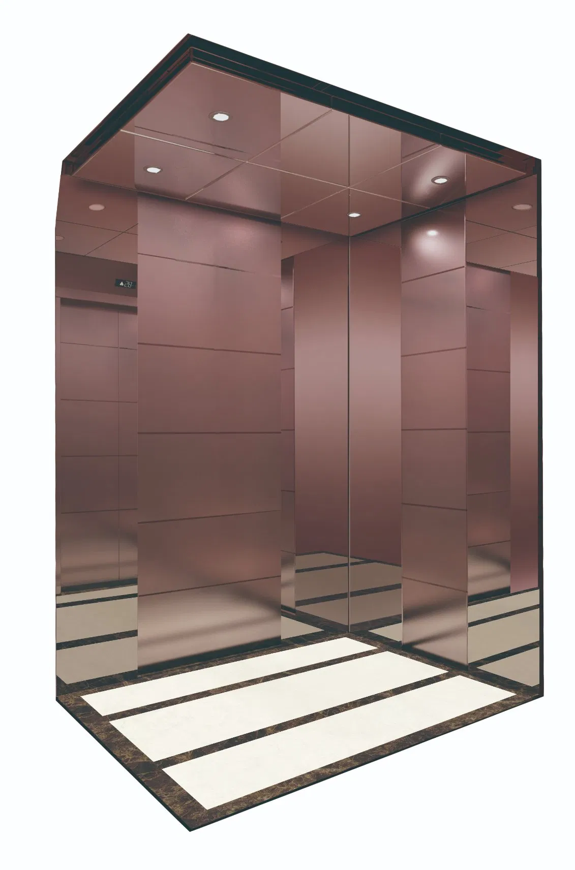 Highend Lift/Luxury Lift/Edunburgh Passenger Elevator China Lift, Suitable for Residence, School, Hotel, Villa