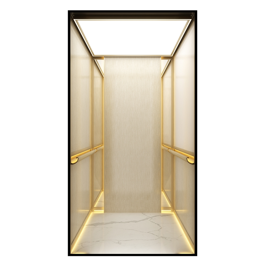 Custom 320kg/400kg Hydraulic Traction Home Villa Elevator – Low Pit Lift