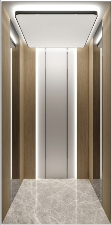 1-2m/S General Home Passenger Lift Elevator