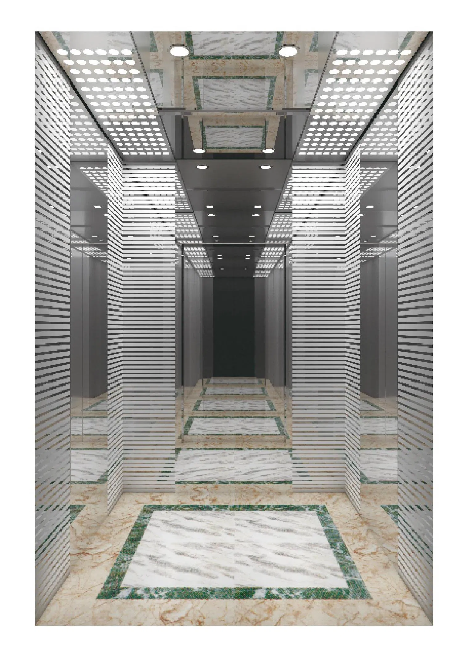 Hot Sale Hairline Stainless Steel Passenger Elevator with Low Cost Villa Elevator