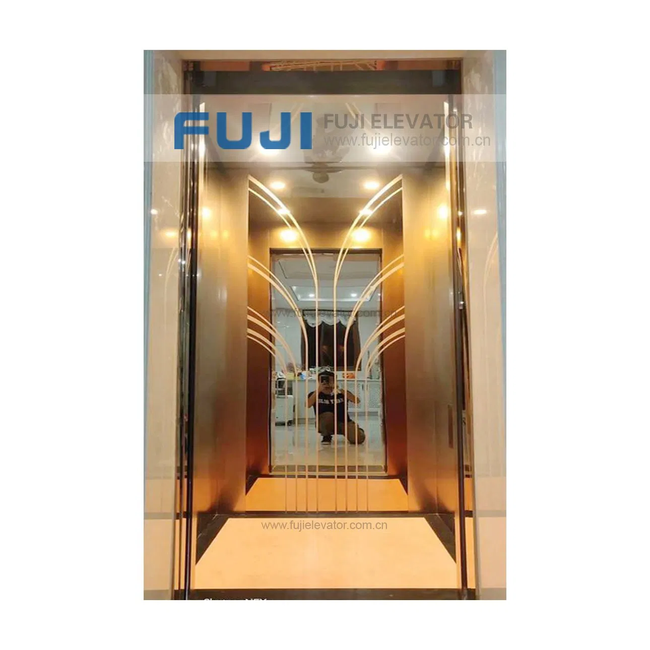 FUJI Glass Elevator Lift Villa Home Use Passenger Panoramic Elevator Lift