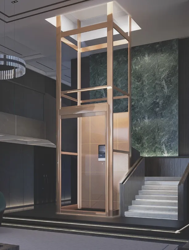 Screw-Driven Home Lift Main View