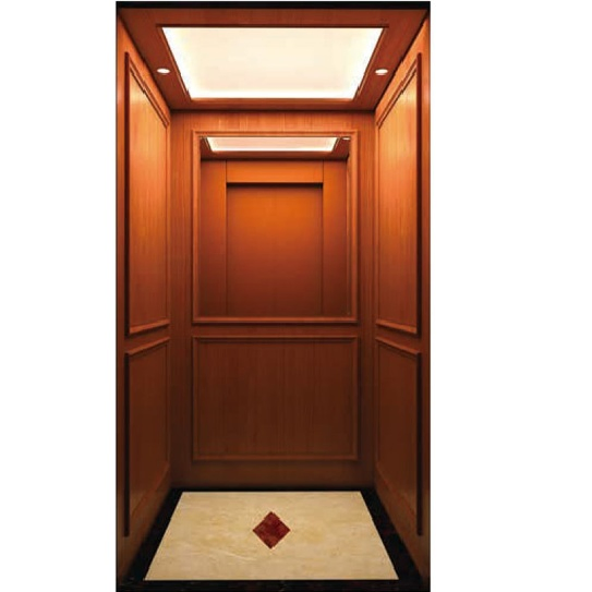 China Lift Supplier Residential Home Elevator with Low Pit Overhead