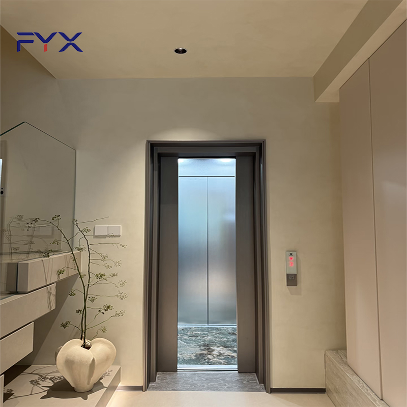 Space Saving Shaftless Gantry Frame Traction Home Lift for Indoor Use