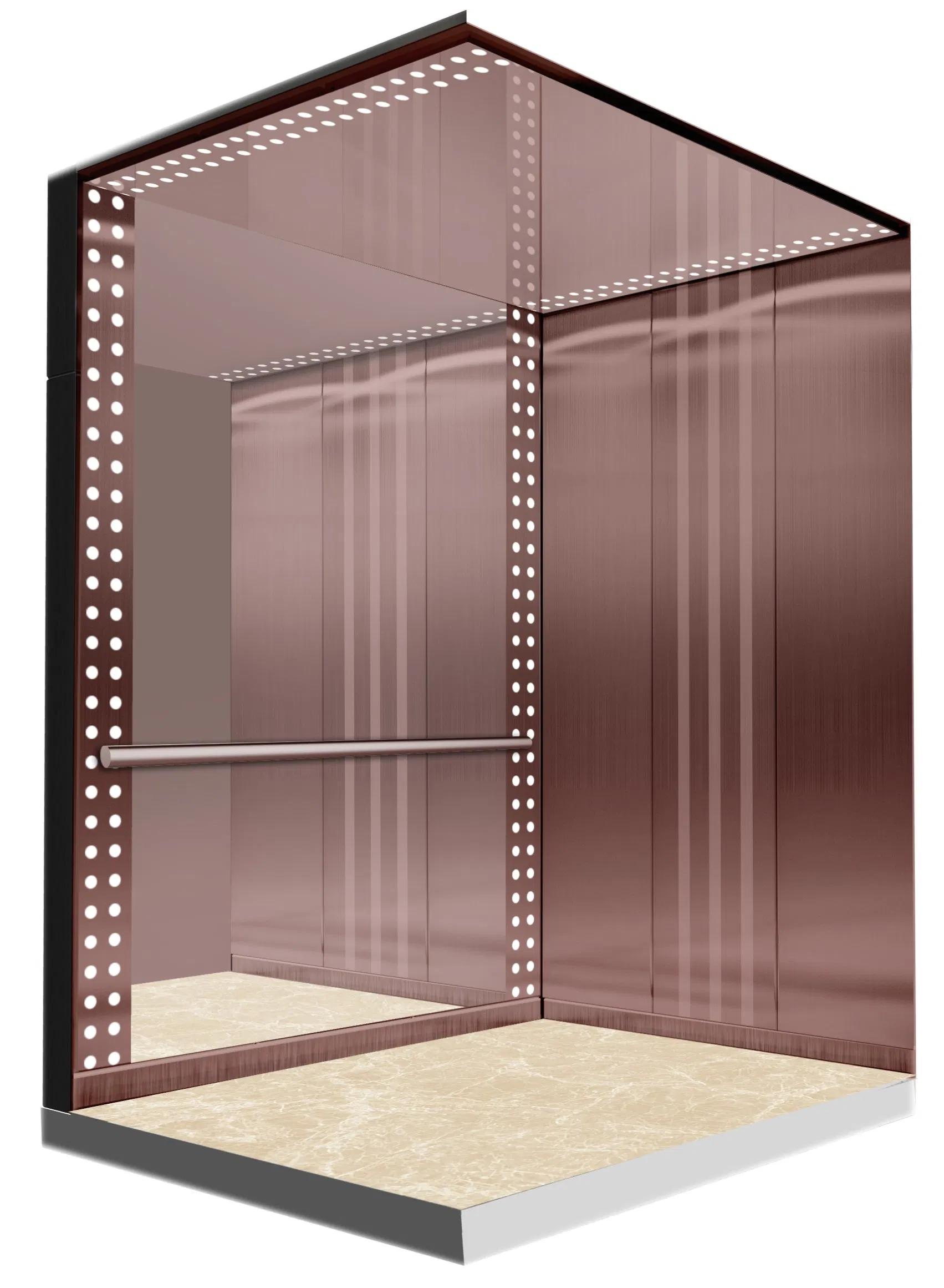 Highend Lift/Luxury Lift/Edunburgh Passenger Elevator China Lift, Suitable for Residence, School, Hotel, Villa