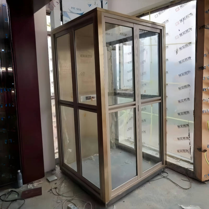 Custom 300kg 450kg Passenger Lift Villa Shaftless Glass Home Elevator Cost