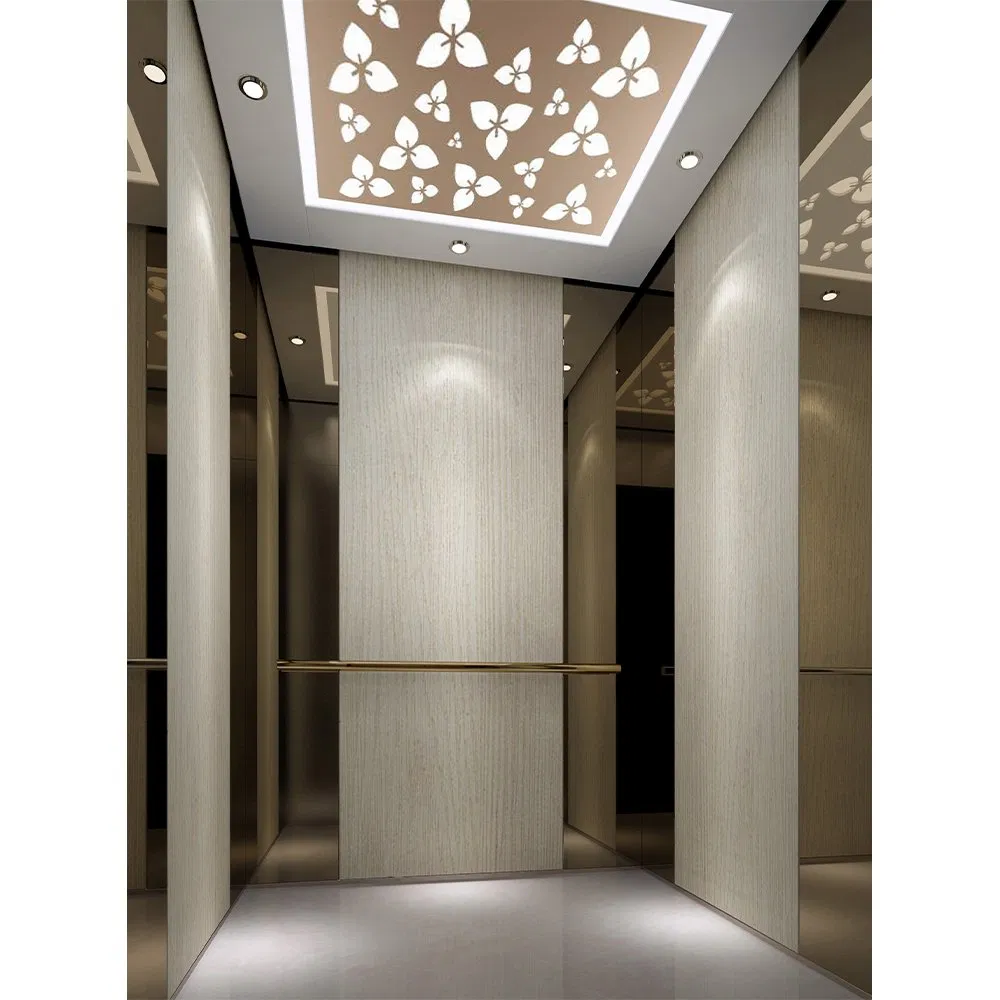 Hyundai Passenger Elevator Price House Customized Residential Lift Elevator