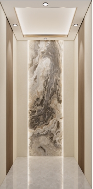 Premium 400kg Rose Gold Stainless Steel Villa Elevator for Luxury Homes