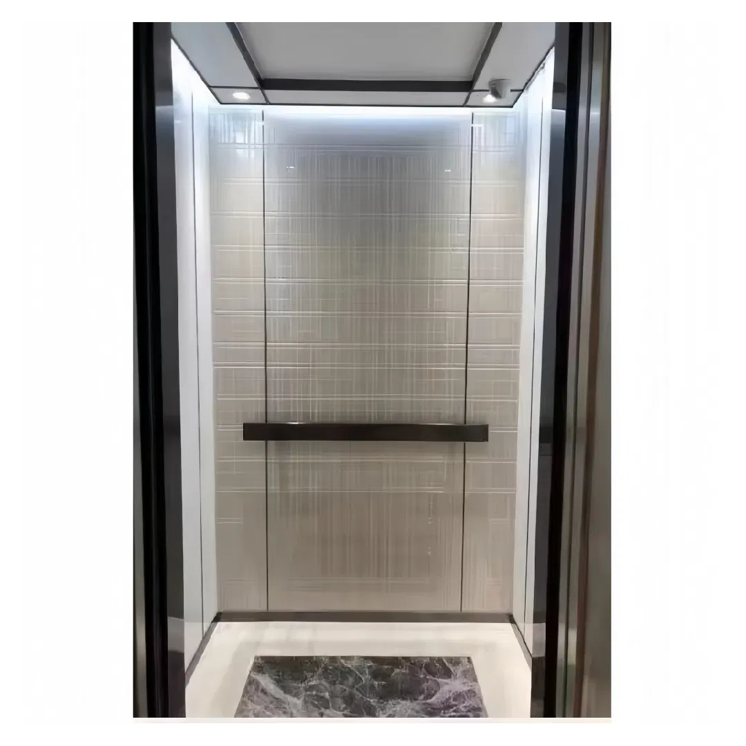 Fujivista Home Lift Elevator for 3 Floor Villa Small Residential Elevator