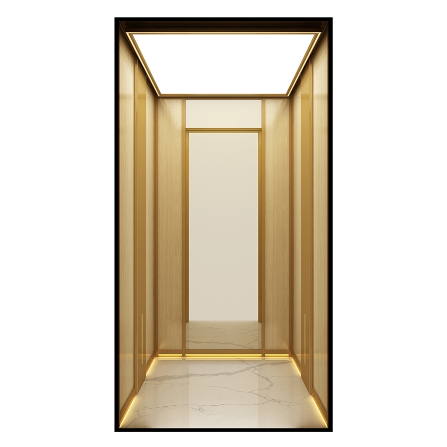 Space-Saving Machine-Room-Less Low-Pit Customized Design Home Villa Elevator