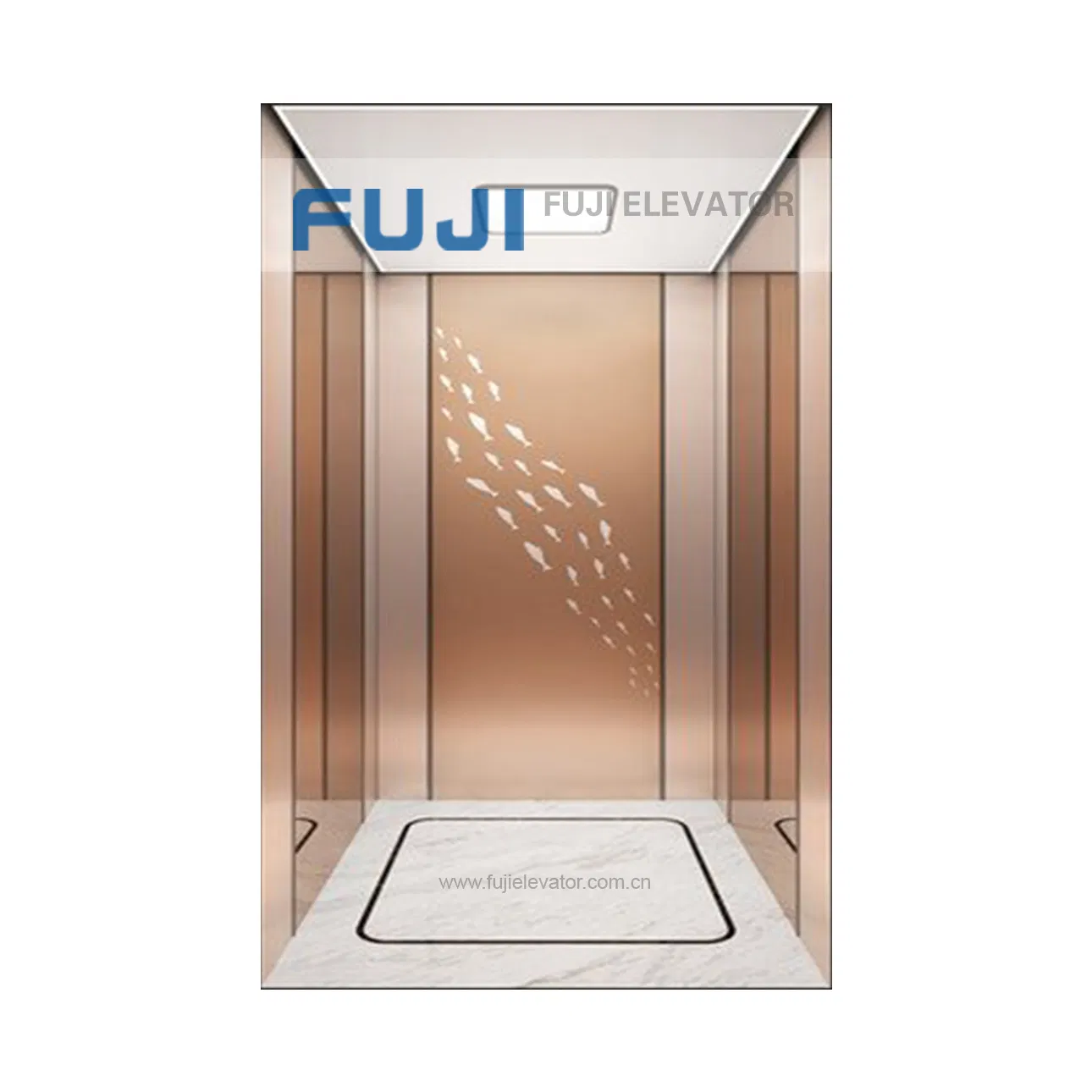 FUJI Glass Elevator Lift Villa Home Use Passenger Panoramic Elevator Lift