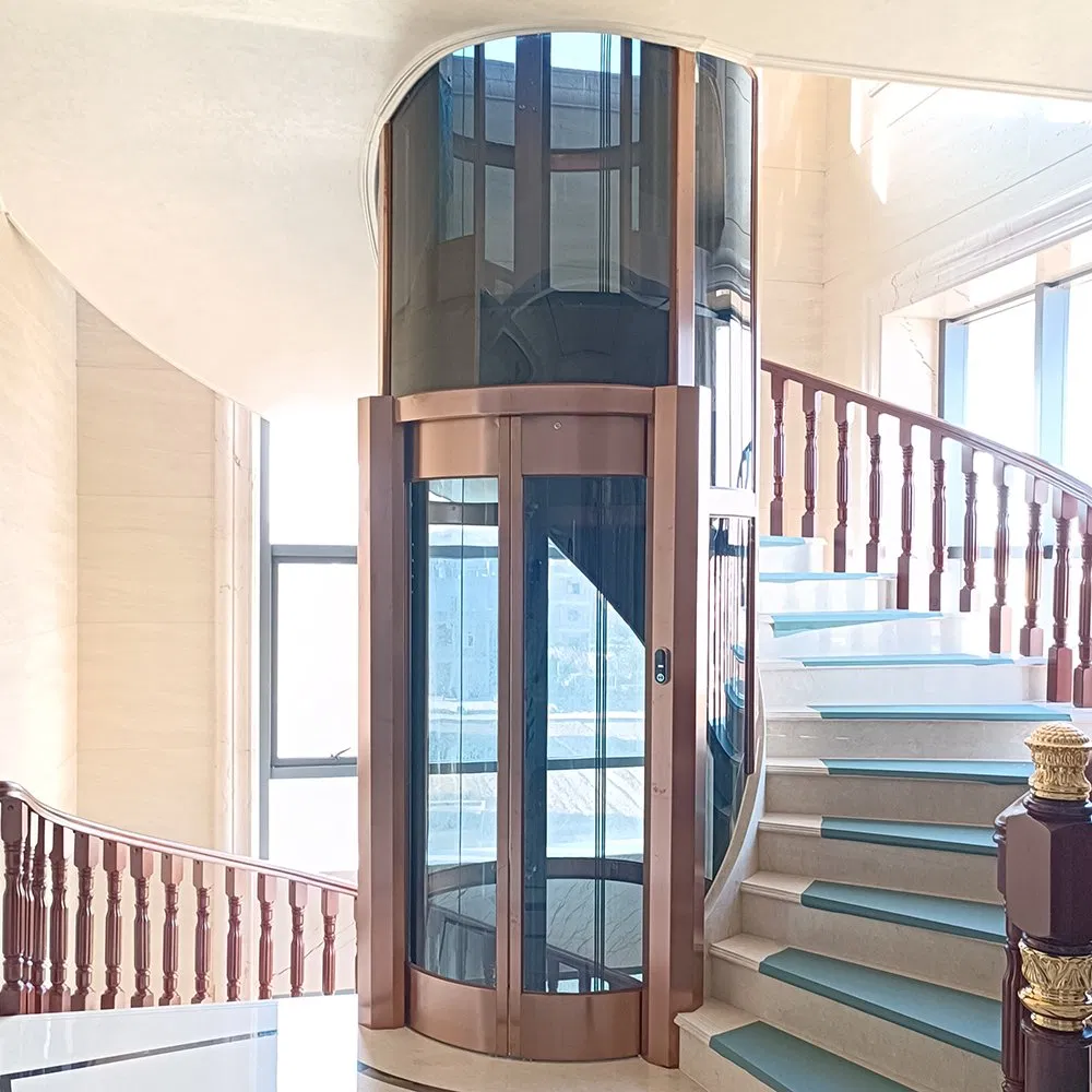 Luxury Panoramic Villa Elevator Indoor Outdoor 400kg~630kg Residential Home Elevator