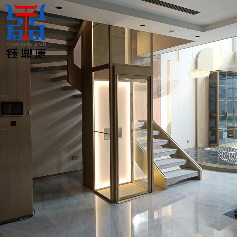 Aesthetic Home Elevator for Modern Architecture with Glass Cabin
