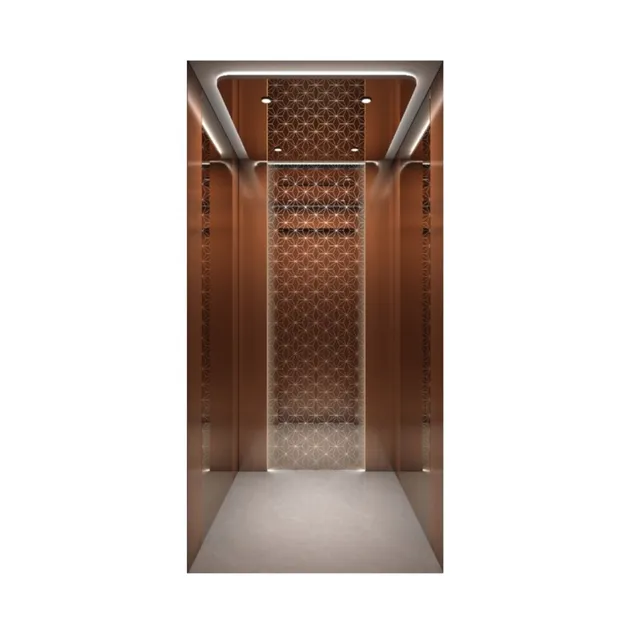 Residential Villa Elevator