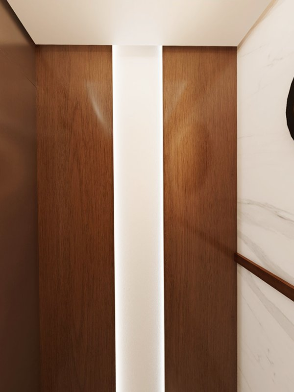 Best Supplier Home Passenger Elevator Lift with High Quality