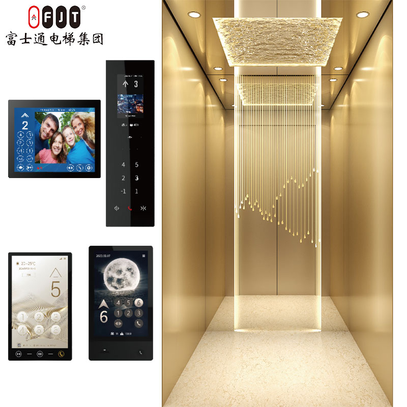 International Certified Home Lift with Small Shaftless Machine Room Features Home Use