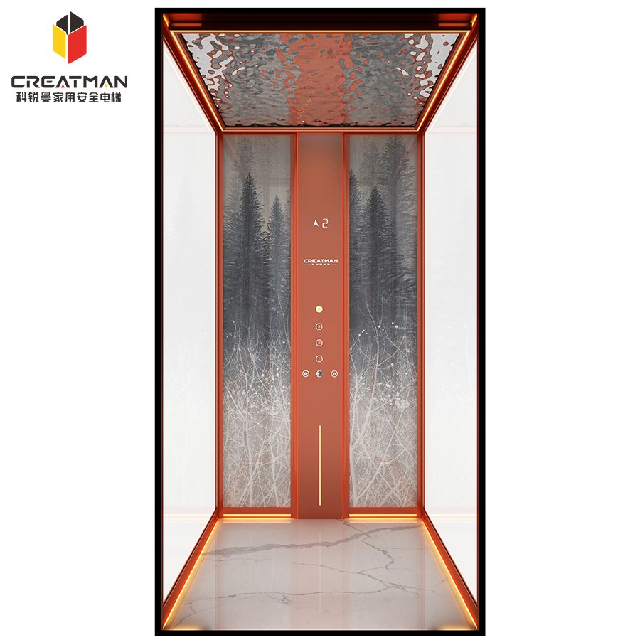 Aluminum Alloy Shaft Low Pit Space-Saving Home Villa Residential Elevator