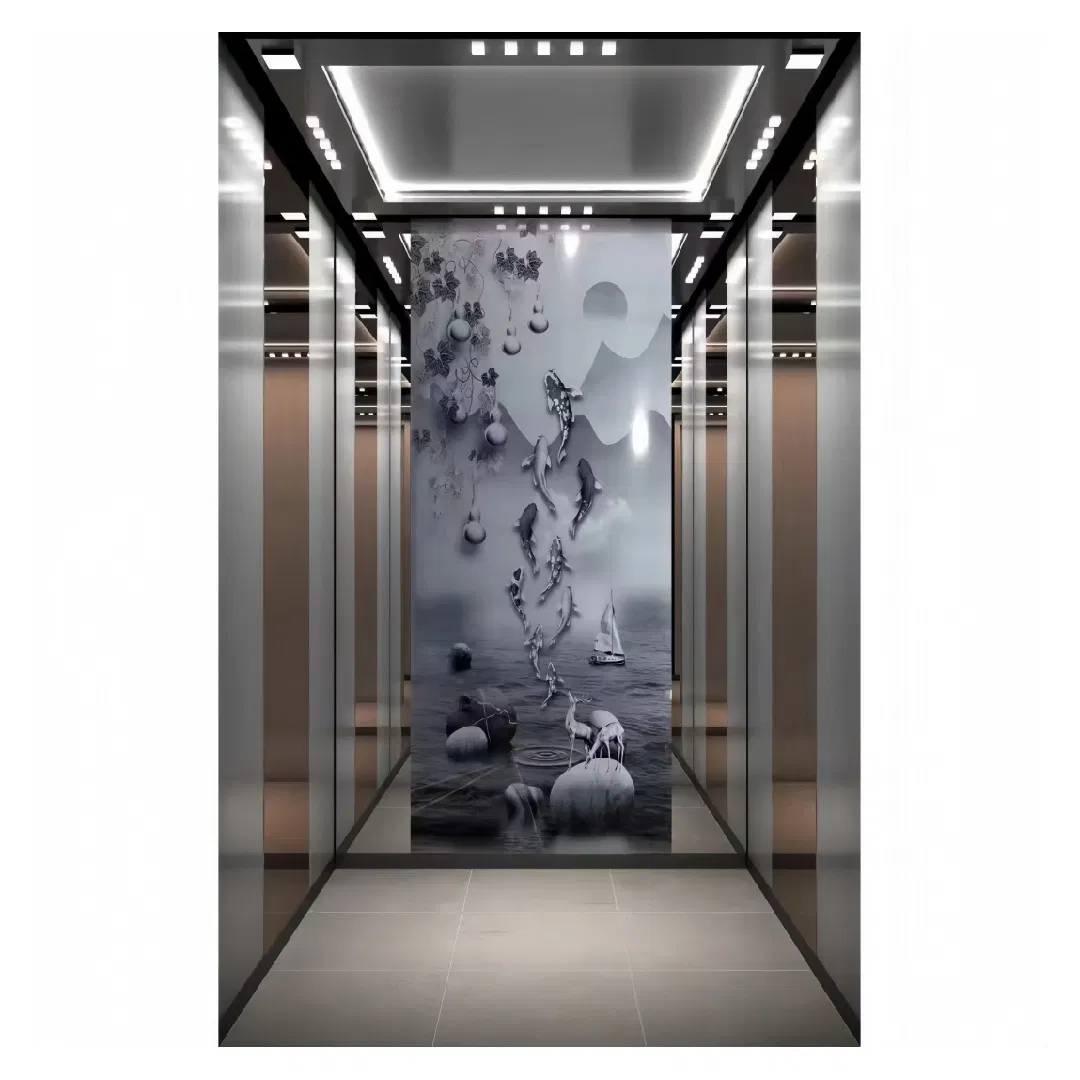 Fujivista Home Lift Elevator for 3 Floor Villa Small Residential Elevator