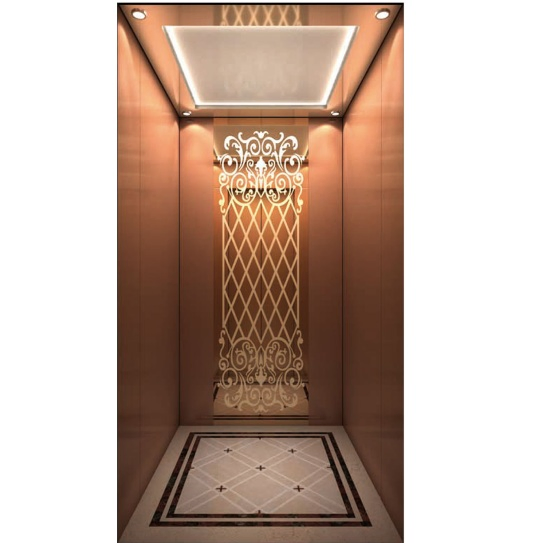 China Lift Supplier Residential Home Elevator with Low Pit Overhead