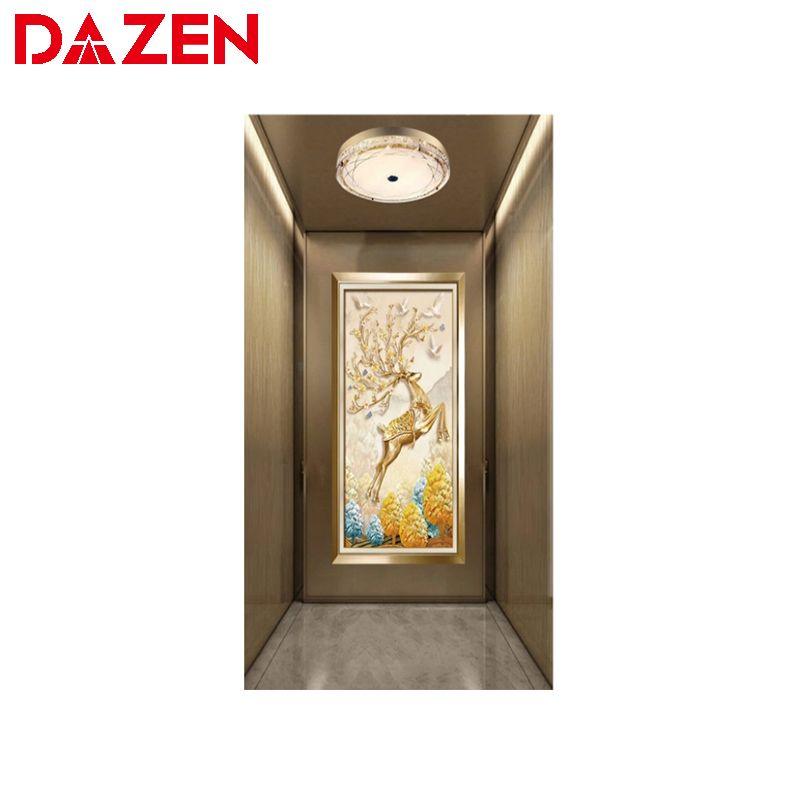 Safety Lift Residential Home Elevator Glass Large Capacity Passenger Elevator with Good Price