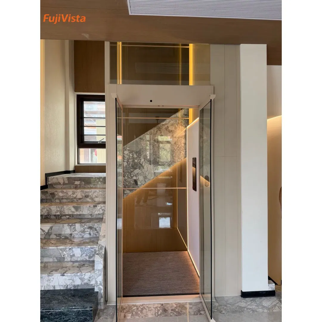 Fujivista Domestic Lifts Mrl Home Elevator Small Villa Lift with Spacious Panoramic Design and Decorative LED Lighting
