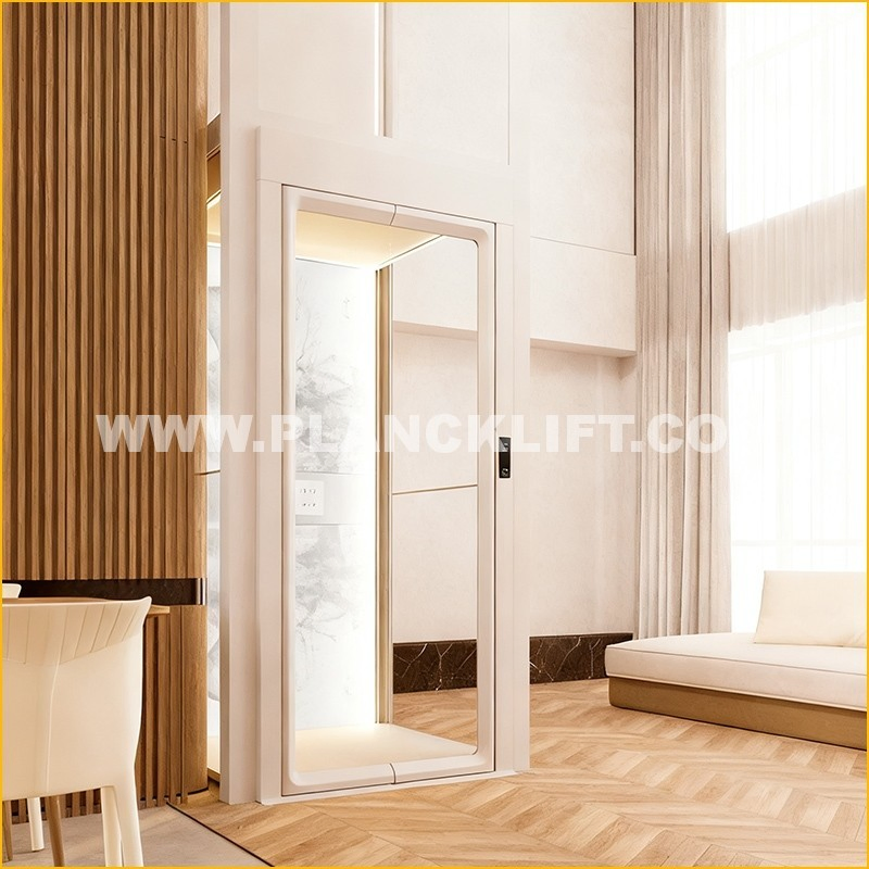 Planck Elevator Factory Direct Passenger Lift Elevator FUJI OEM Compact Residential Small Platform Home Lift Elevator with Pitless 360 Degree Panoramic View